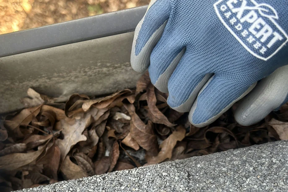 Gutter Cleaning Daytona Beach FL