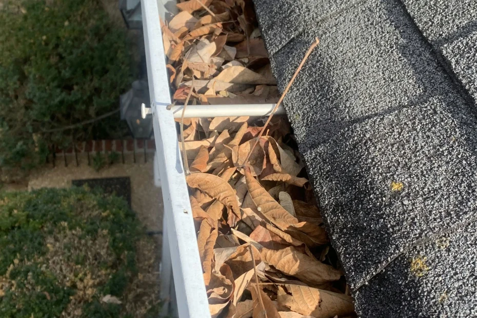 Gutter Cleaning Daytona Beach FL