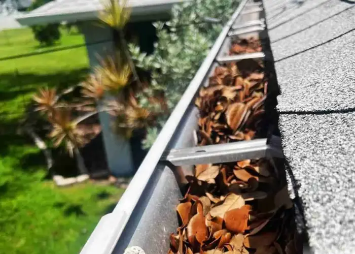 Gutter Cleaning Daytona Beach FL home page